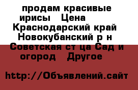 продам красивые ирисы › Цена ­ 100 - Краснодарский край, Новокубанский р-н, Советская ст-ца Сад и огород » Другое   